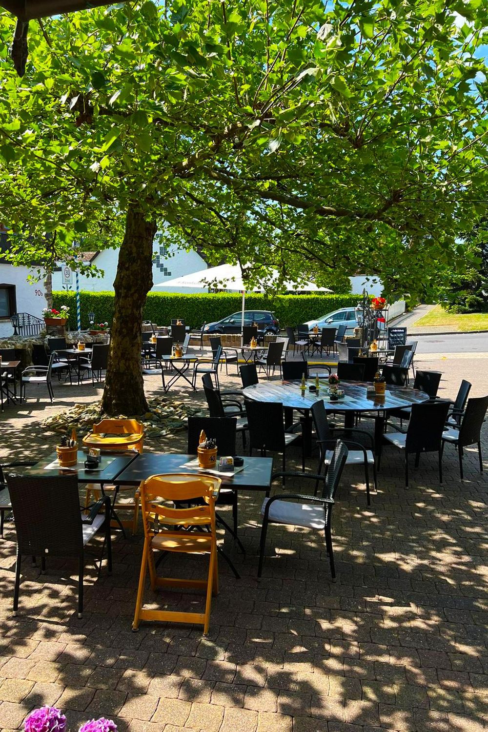 Biergarten des Mönchhofs unter alten Bäumen